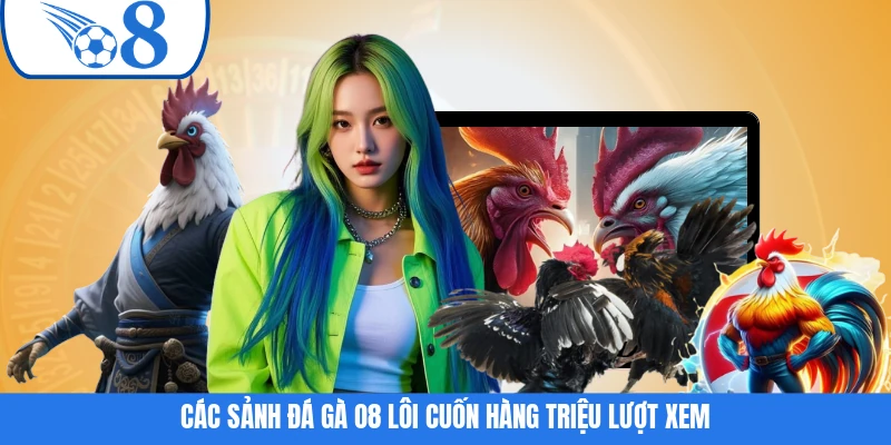 Các sảnh đá gà O8 lôi cuốn hàng triệu lượt xem