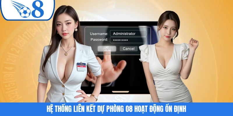 Hệ thống liên kết dự phòng O8 hoạt động ổn định