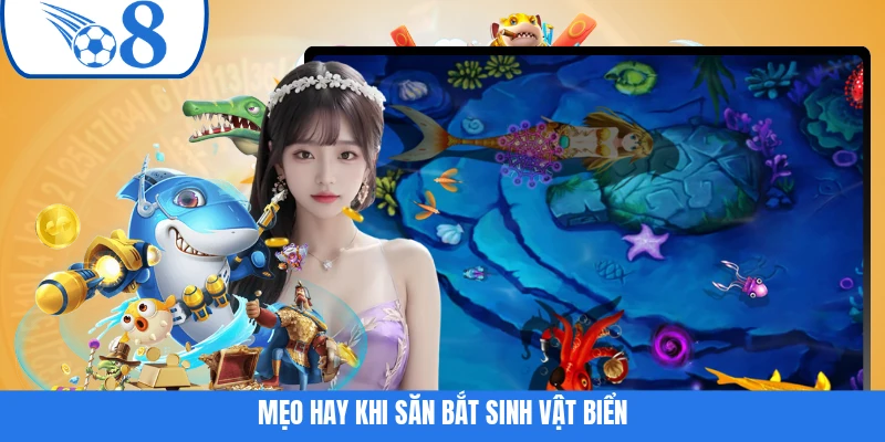 Mẹo hay khi săn bắt sinh vật biển