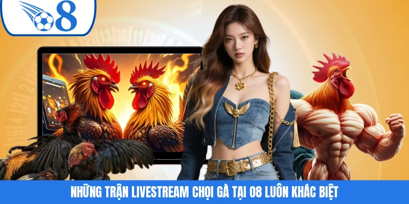 Những trận livestream chọi gà tại O8 luôn khác biệt